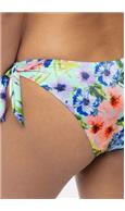 6476 balabio_brief_back.jpg